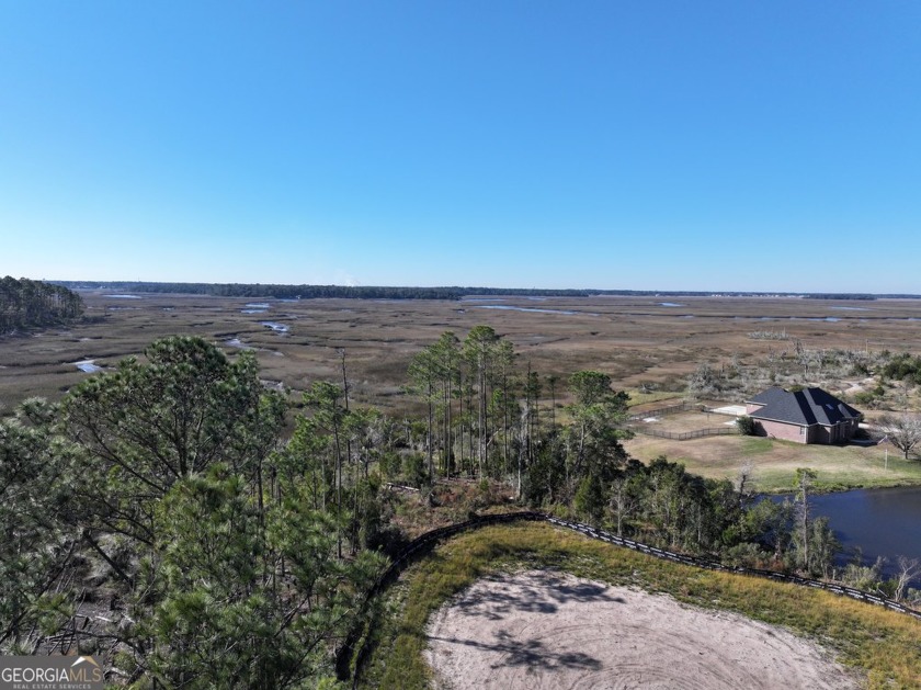 EXPERIENCE SERENE COASTAL LIVING WITH THIS CLEARED AND - Beach Acreage for sale in Saint Marys, Georgia on Beachhouse.com