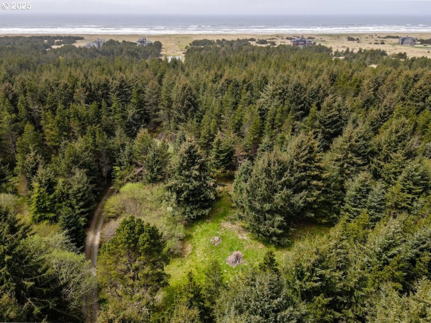 Beautiful 5.9 acres of ocean front property in Long Beach, just - Beach Acreage for sale in Long Beach, Washington on Beachhouse.com