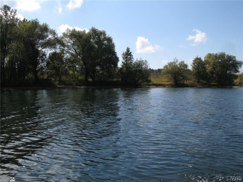 Incredible opportunity to own a premier piece of waterfront in - Beach Acreage for sale in Cape Vincent, New York on Beachhouse.com