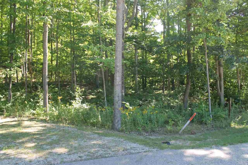 Beautiful wooded building site situated on a large corner lot in - Beach Lot for sale in Harbor Springs, Michigan on Beachhouse.com