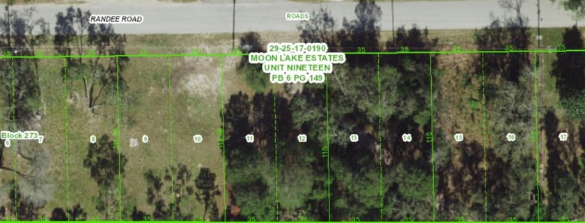 Under contract-accepting backup offers. great location for - Beach Lot for sale in New Port Richey, Florida on Beachhouse.com