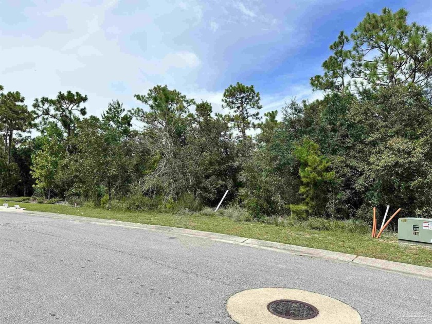 Lot 140 in the beautiful community of Leeward is ready for you - Beach Lot for sale in Pensacola, Florida on Beachhouse.com