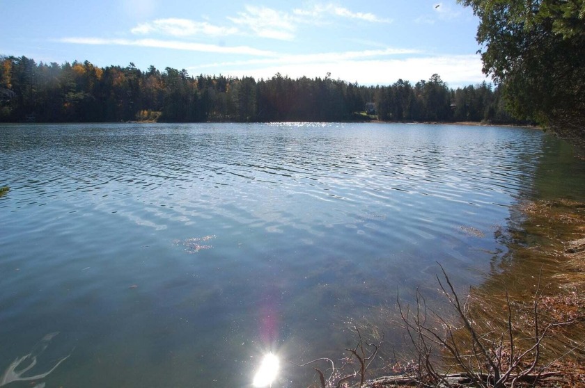 Building your dream home just became  easier. This waterfront - Beach Acreage for sale in Harpswell, Maine on Beachhouse.com