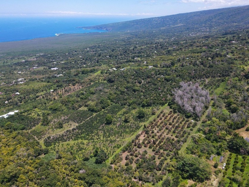 This is a leasehold property - KSBE 11.84 acres of land nestled - Beach Acreage for sale in Captain Cook, Hawaii on Beachhouse.com