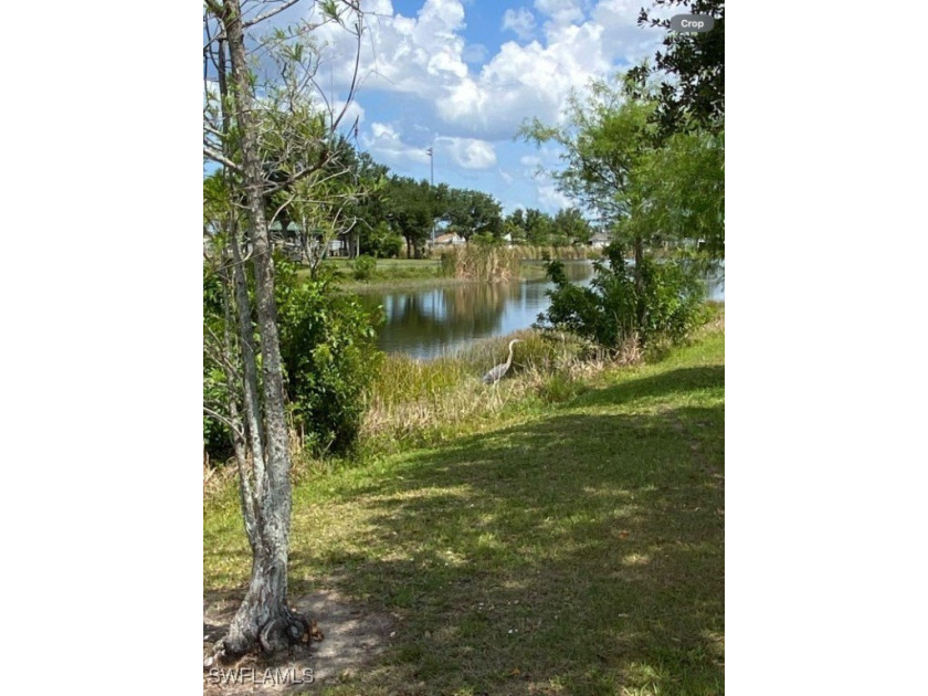 Your home on a corner property next to water, a park, and a - Beach Lot for sale in Cape Coral, Florida on Beachhouse.com