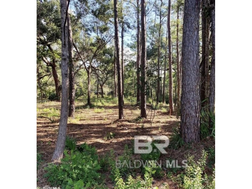 This Waterfront lot located just off popular Wedgewood drive - Beach Lot for sale in Gulf Shores, Alabama on Beachhouse.com