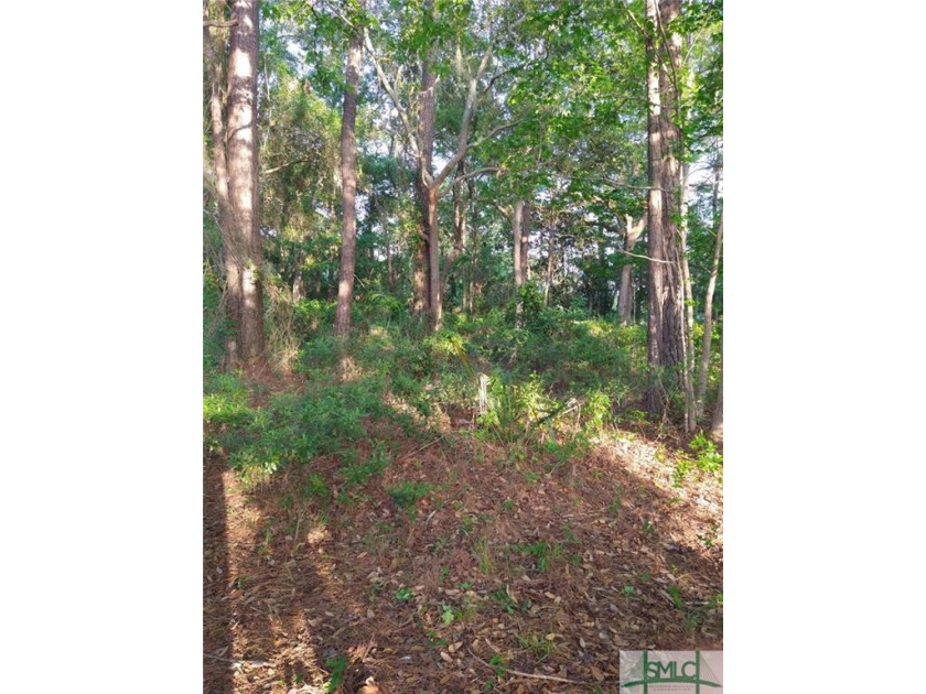 Build your home on this wooded residential lot on Isle of Wight - Beach Lot for sale in Midway, Georgia on Beachhouse.com