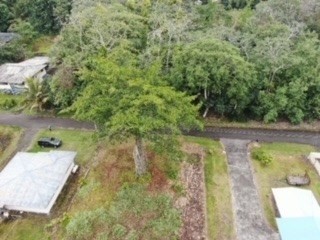 Location, Location, Location!  This .27 acre parcel is located - Beach Lot for sale in Pahoa, Hawaii on Beachhouse.com