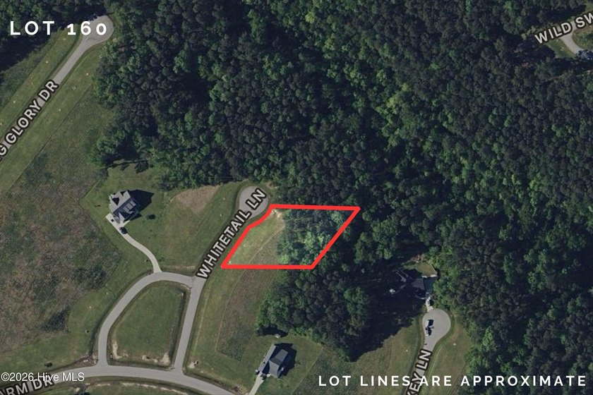 Looking for room to spread out? Adjacent lot 161 is also - Beach Lot for sale in Minnesott Beach, North Carolina on Beachhouse.com