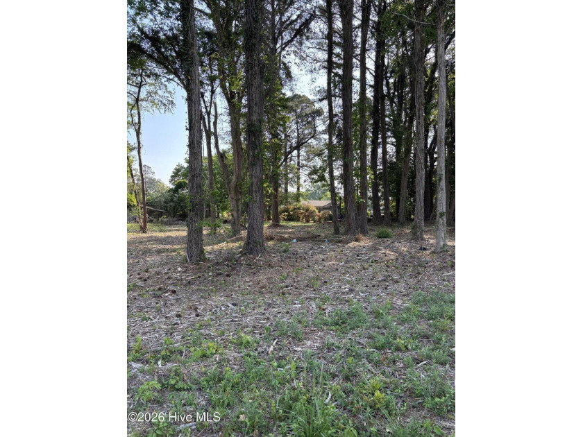 Partially cleared lot located in the thriving riverfront town of - Beach Lot for sale in Washington, North Carolina on Beachhouse.com
