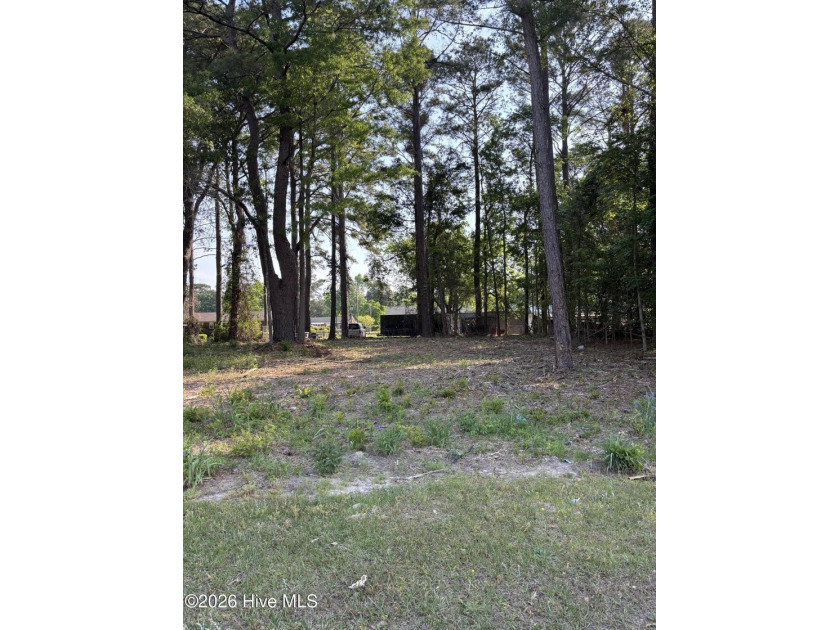 LOT #4. Partially cleared lot in the thriving riverfront town of - Beach Lot for sale in Washington, North Carolina on Beachhouse.com