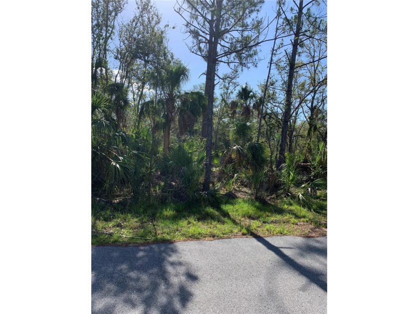 Come build your dream home(s) on this and the next-door lot to - Beach Lot for sale in Port Charlotte, Florida on Beachhouse.com