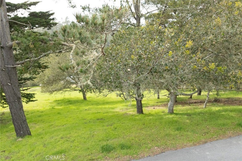Nice lot with approximately 4500 square feet and includes water - Beach Lot for sale in Cambria, California on Beachhouse.com