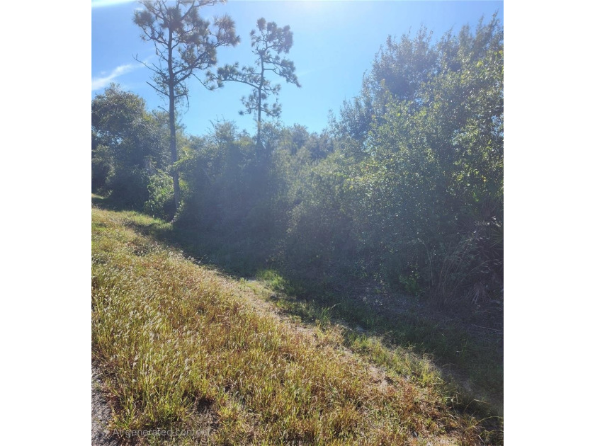 Less than ten miles away from  I-75, (exit 164), and a world - Beach Lot for sale in Punta Gorda, Florida on Beachhouse.com