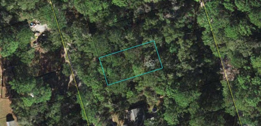 Lots 12 and 13 available. Option to purchase together or - Beach Lot for sale in Crawfordville, Florida on Beachhouse.com