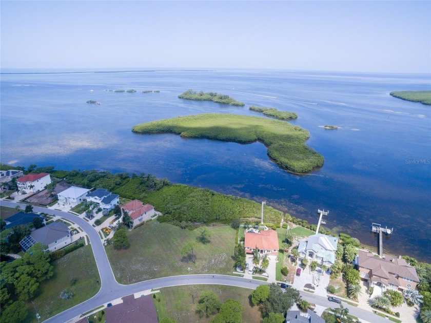 Once in a lifetime opportunity to build your dream home!  This - Beach Lot for sale in Tarpon Springs, Florida on Beachhouse.com