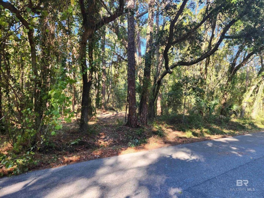 Beautiful Dauphin Island East End property. This 100 x125' lot - Beach Lot for sale in Dauphin Island, Alabama on Beachhouse.com