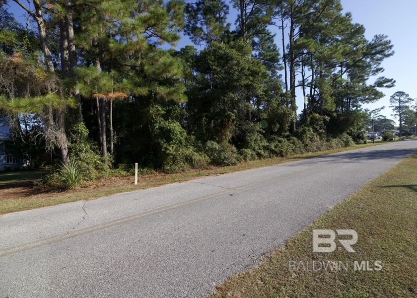 A prime double lot located directly across from the scenic - Beach Lot for sale in Gulf Shores, Alabama on Beachhouse.com