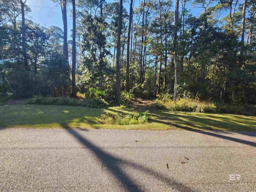 This is a gorgeous wooded east end lot! The back half of the lot - Beach Lot for sale in Dauphin Island, Alabama on Beachhouse.com