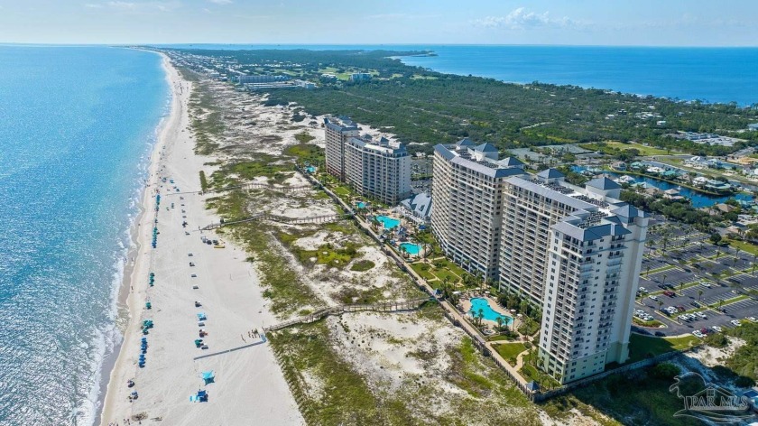 You've never seen views like these! The Beach Club's Avalon - Beach Condo for sale in Gulf Shores, Alabama on Beachhouse.com