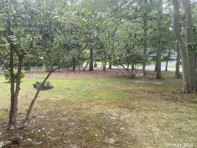 ATTENTION INVESTORS - .38 acre vacant lot being offered - Beach Lot for sale in East Hampton, New York on Beachhouse.com