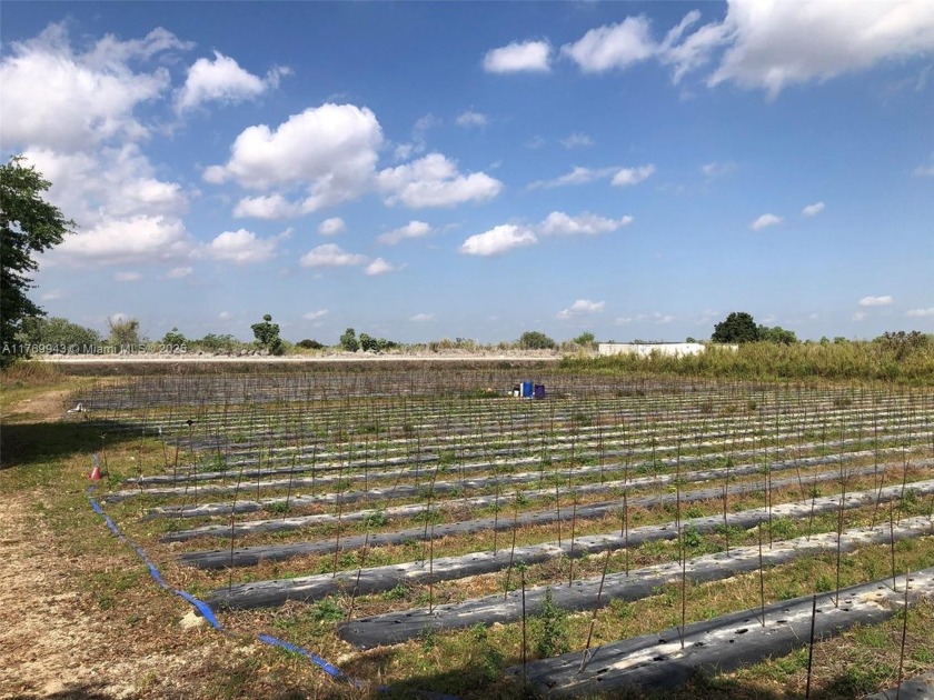 This is a very unique piece of property. Not something any piece - Beach Lot for sale in Miami, Florida on Beachhouse.com