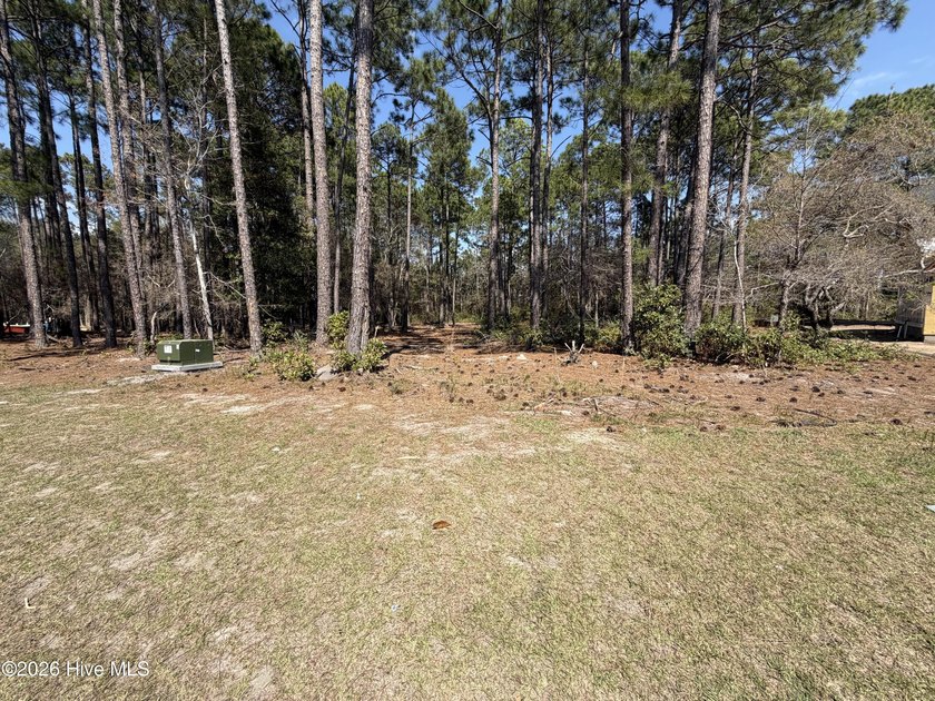 Welcome to 6786 Holton Place. This Large, Wooded, Pie Shaped - Beach Lot for sale in Ocean Isle Beach, North Carolina on Beachhouse.com