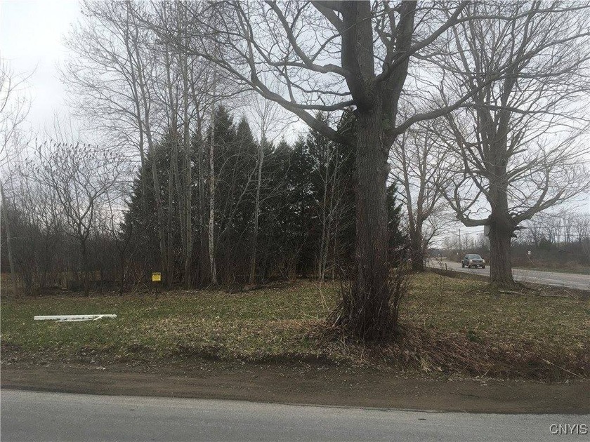 In the heart of recreational and residential Pulaski Salmon - Beach Lot for sale in Richland, New York on Beachhouse.com