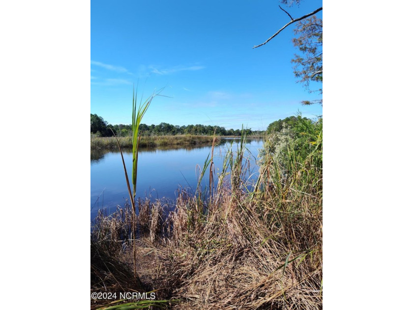 Queens Creek Waterfront! Approximately 67 acres of undeveloped - Beach Acreage for sale in Hubert, North Carolina on Beachhouse.com