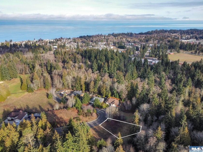 Uncover an exceptional opportunity with this buildable lot on - Beach Lot for sale in Port Angeles, Washington on Beachhouse.com