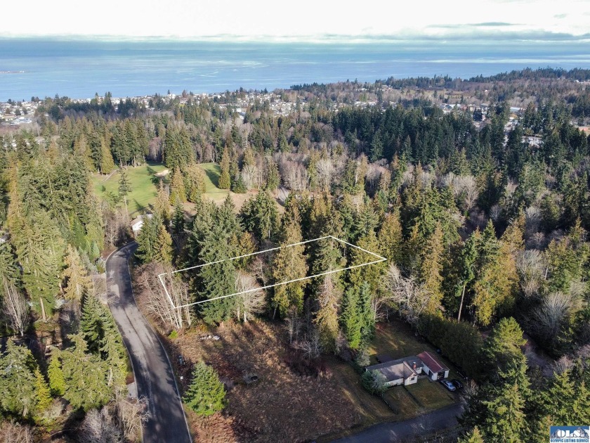 Almost one full-acre lot in a beautiful neighborhood of fine - Beach Lot for sale in Port Angeles, Washington on Beachhouse.com
