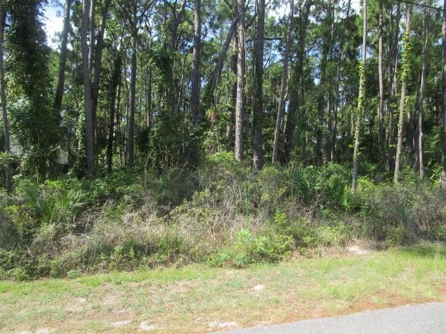 Bring your plans to build you Beach Oasis.  Nice flat lot ready - Beach Lot for sale in Dauphin Island, Alabama on Beachhouse.com