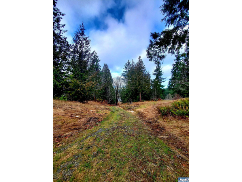 This is the Acreage you have been searching for! Great location - Beach Acreage for sale in Port Angeles, Washington on Beachhouse.com