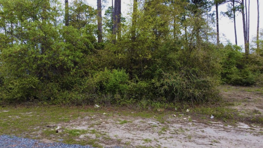 Experience the ultimate summer dream by securing your own slice - Beach Lot for sale in Sopchoppy, Florida on Beachhouse.com