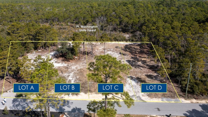 These four 0.25 acre parcels are cleared, high and dry, with no - Beach Lot for sale in Santa Rosa Beach, Florida on Beachhouse.com