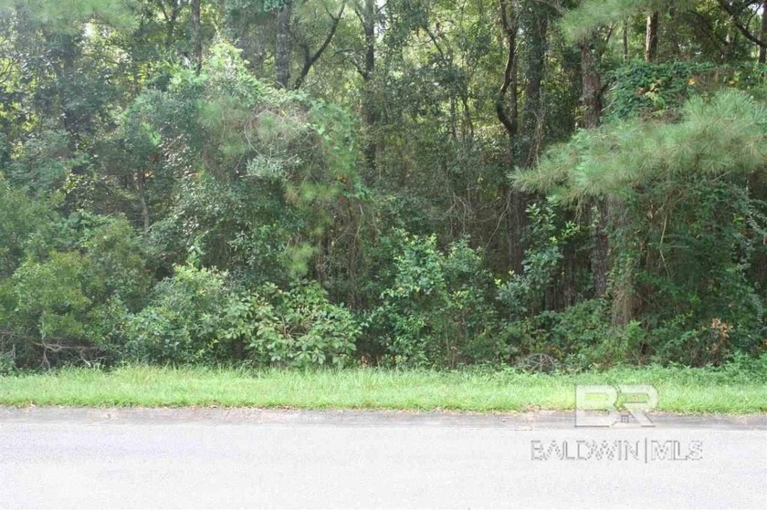 Come build your dream home in desirable Rock Creek.  Private cul - Beach Lot for sale in Fairhope, Alabama on Beachhouse.com