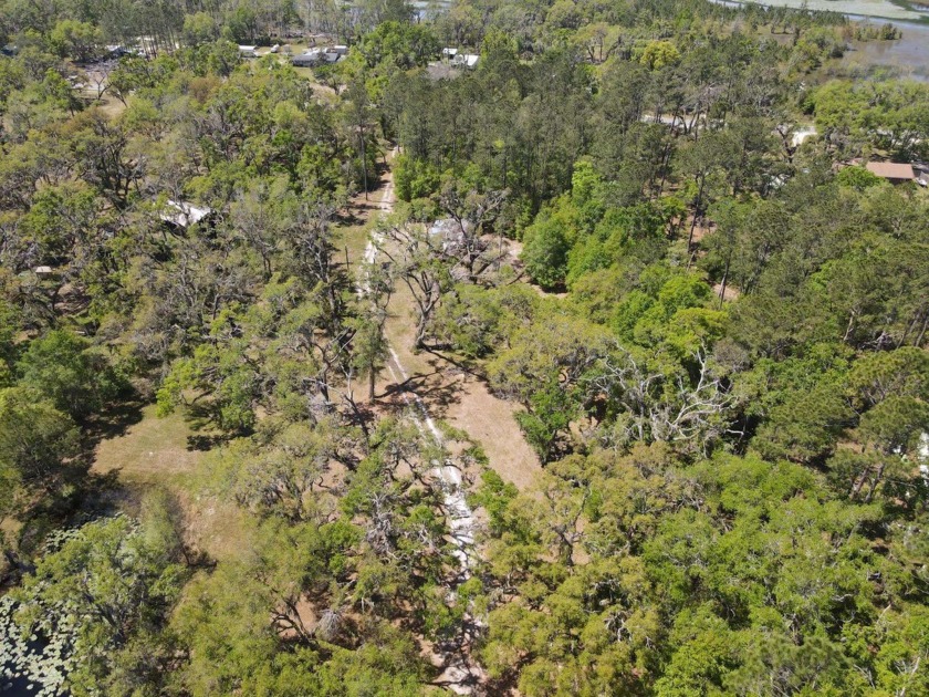 Welcome to your 7-acre home or camp site! With two wells, two - Beach Acreage for sale in Perry, Florida on Beachhouse.com