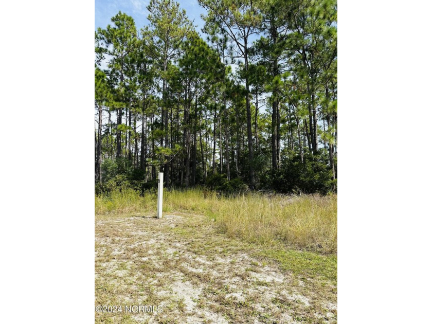 Prime building site in Ocean Isle Palms. Less than a 5 minute - Beach Lot for sale in Shallotte, North Carolina on Beachhouse.com