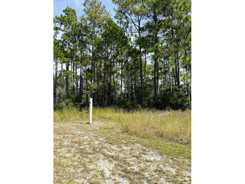Prime building site in Ocean Isle Palms. Less than a 5 minute - Beach Lot for sale in Shallotte, North Carolina on Beachhouse.com