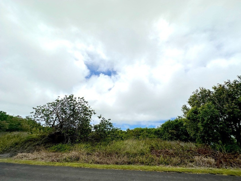 Imagine owning your piece of paradise and building your dream - Beach Lot for sale in Naalehu, Hawaii on Beachhouse.com