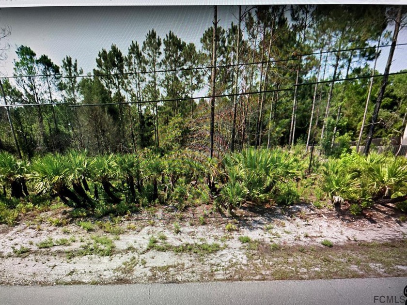 Choose your own builder to build your dream home or multi-family - Beach Lot for sale in Palm Coast, Florida on Beachhouse.com