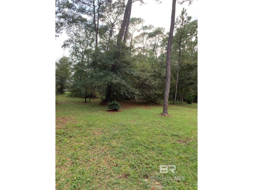 Partially cleared and oversized east end lot! This 125 x 131 ft - Beach Lot for sale in Dauphin Island, Alabama on Beachhouse.com