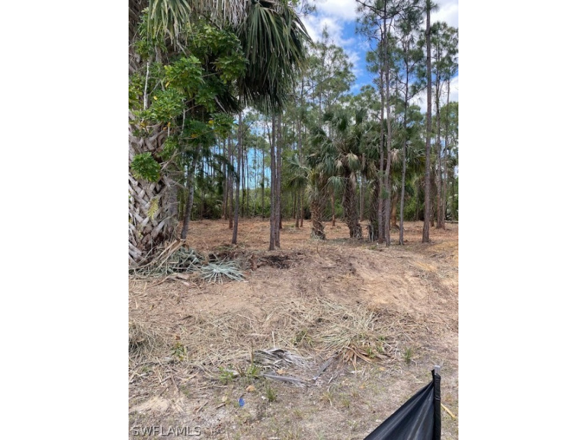 HIGH AND DRY 1.25 acre LOT with western exposure in X Flood - Beach Lot for sale in Bonita Springs, Florida on Beachhouse.com