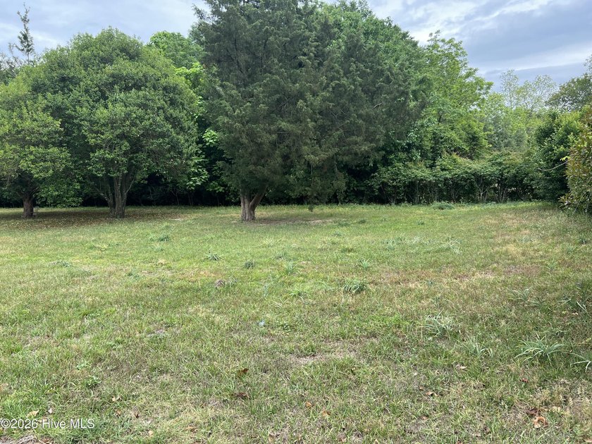 An exceptional opportunity awaits in the heart of Wilmington's - Beach Lot for sale in Wilmington, North Carolina on Beachhouse.com