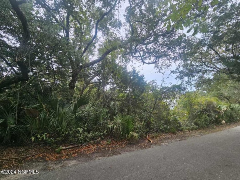 Wooded homesite in the maritime forest. Located in close - Beach Lot for sale in Bald Head Island, North Carolina on Beachhouse.com