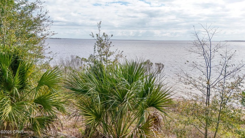 Over 1 acre of WATERFRONT commercial land just waiting for - Beach Commercial for sale in Panama City, Florida on Beachhouse.com
