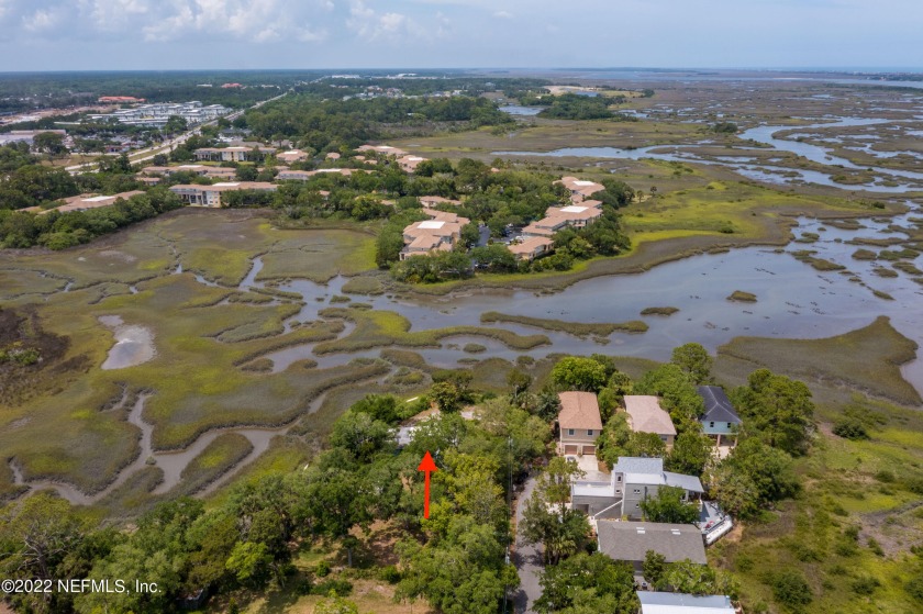 If Amazing Marsh Views & Privacy is what you are looking for - Beach Home for sale in ST Augustine, Florida on Beachhouse.com