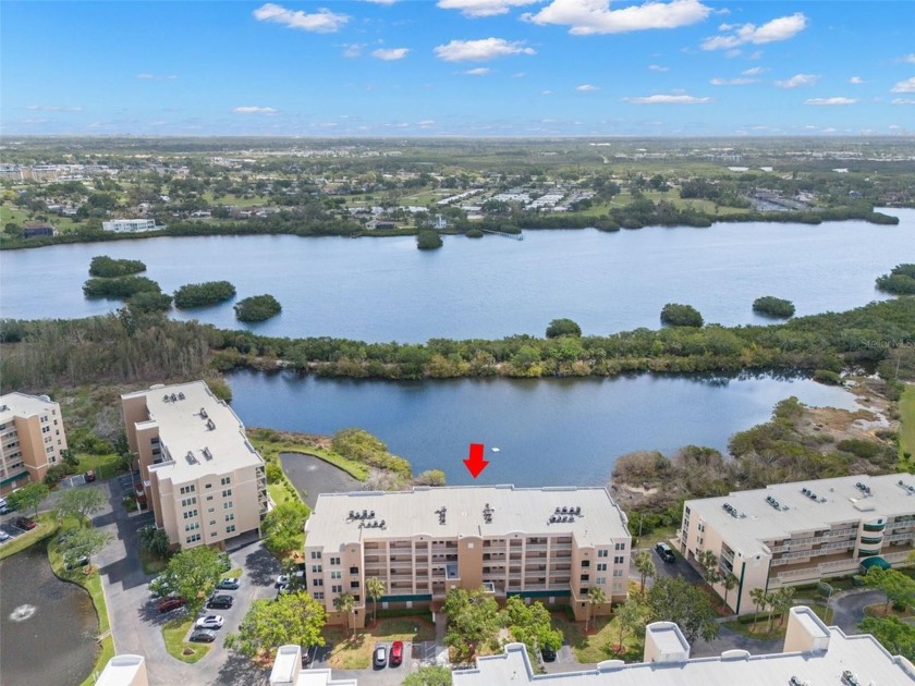 Discover top-floor waterfront living at its finest in this - Beach Condo for sale in St. Petersburg, Florida on Beachhouse.com