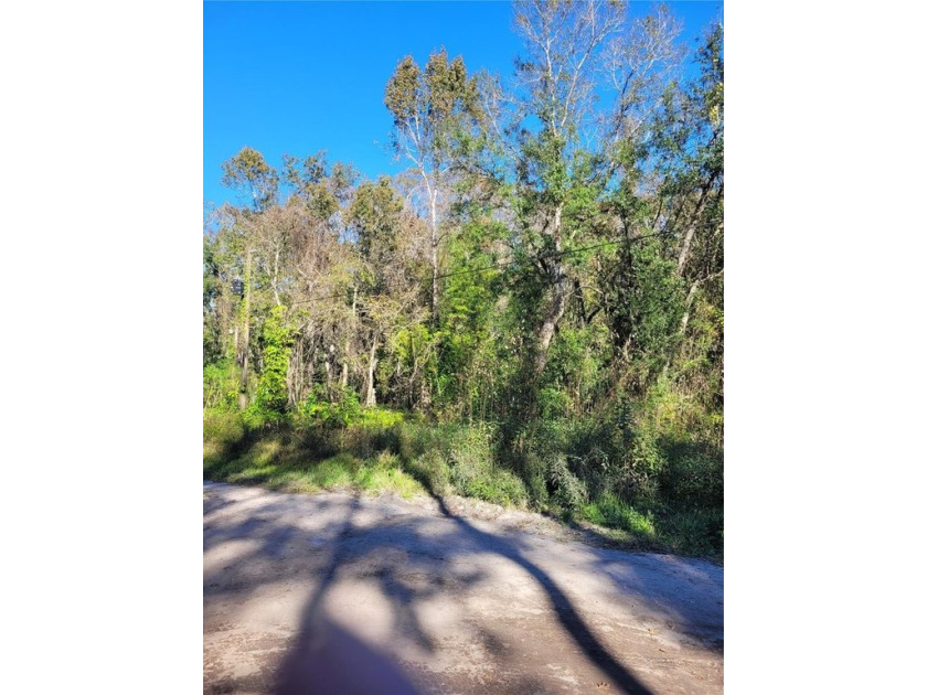 Love being in the country but want the convenience of the city? - Beach Lot for sale in New Port Richey, Florida on Beachhouse.com