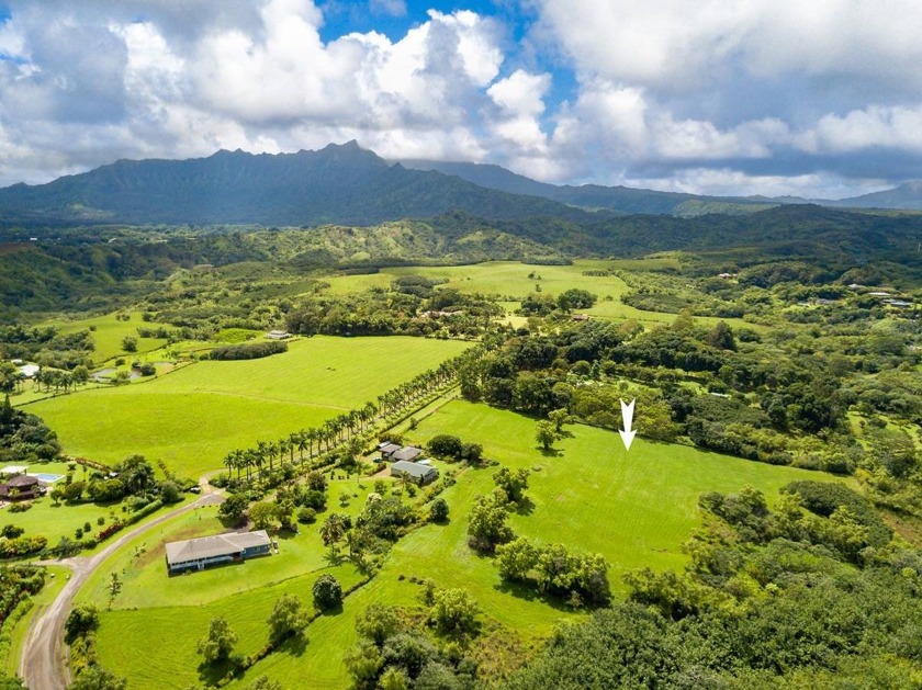 Opportunity knocks! First time on the market since 1978, this 5 - Beach Acreage for sale in Princeville, Hawaii on Beachhouse.com